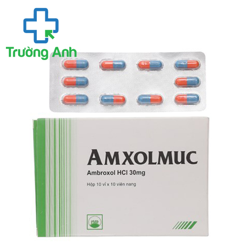 Amxolmuc - Thuốc điều trị ho, viêm phế quản, giúp long đờm