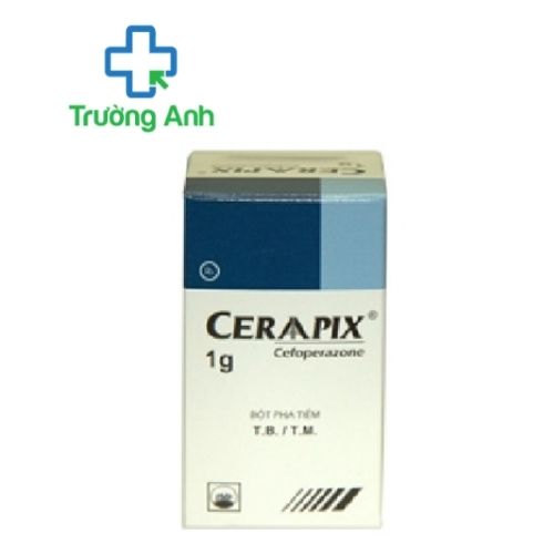 Ceraapix 1g Pymepharco - Thuốc điều trị nhiễm khuẩn hiệu quả