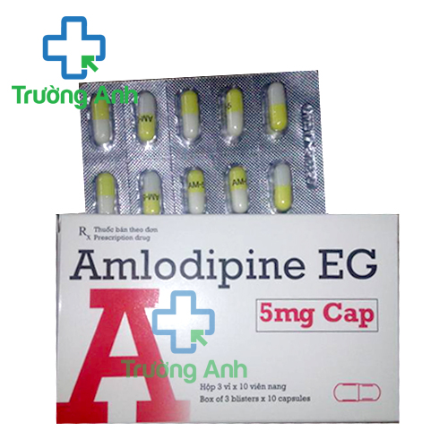 Amlodipine EG 5mg Cap - Thuốc điều trị đau thắt ngực, cao huyết áp