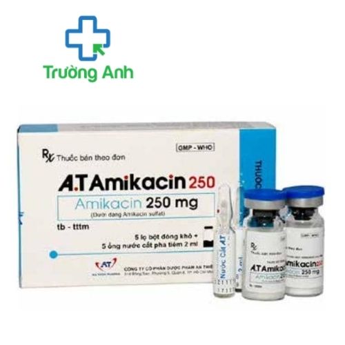 A.T Amikacin 250 - Thuốc điều trị nhiễm khuẩn, nhiễm trùng hiệu quả 