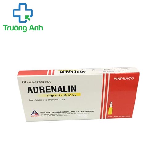 Adrenalin 1mg/1ml Vinphaco - Thuốc hồi sức tim mạch, phổi hiệu quả