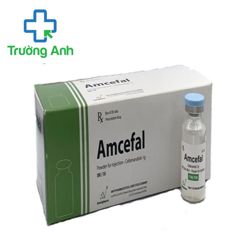 Amcefal 1g - Thuốc điều trị nhiễm khuẩn của Amvipharm