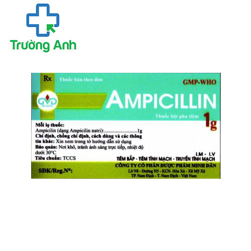 Ampicillin 1g MD Pharco - Thuốc điều trị nhiễm khuẩn hiệu quả 