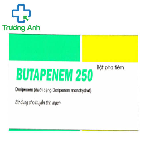 Butapenem 250 - Thuốc điều trị nhiễm khuẩn hiệu quả của dp TW2