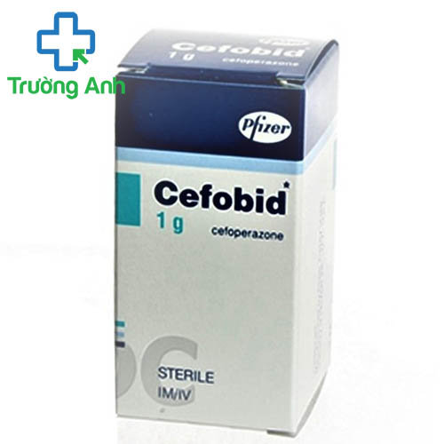 Cefobid 1g - Thuốc điều trị nhiễm khuẩn hiệu quả của Ý