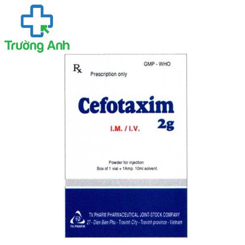 Cefotaxim 2g TV.Pharm - Thuốc điều trị nhiễm trùng hiệu quả