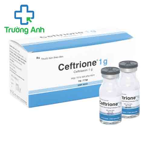 Ceftrione 1g - Thuốc điều trị nhiễm khuẩn hiệu quả của Bidiphar