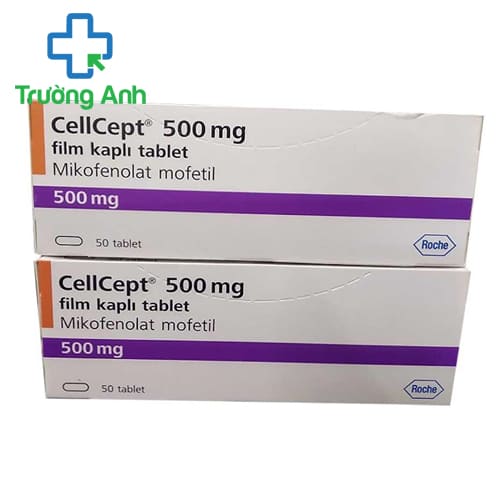 Cellcept 500mg - Điều trị thải loại mảnh ghép cấp tính mới ghép thận