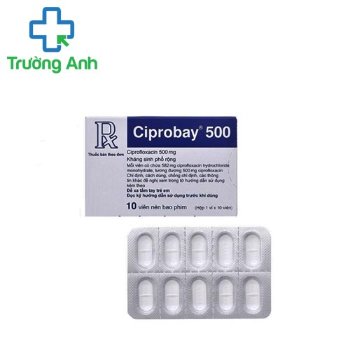 Ciprobay 500mg - Thuốc điều trị nhiễm khuẩn đường hô hấp hiệu quả