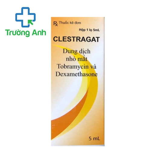 Clestragat 5ml - Thuốc điều trị viêm mắt hiệu quả