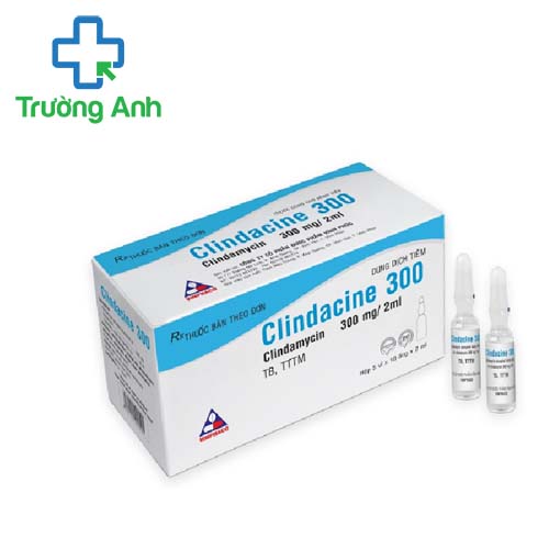 Clindacine 300mg/2ml Vinphaco - Điều trị nhiễm khuẩn hiệu quả