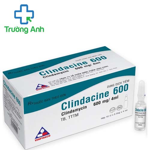 Clindacine 600mg Vinphaco - Điều trị nhiễm khuẩn hô hấp hiệu quả