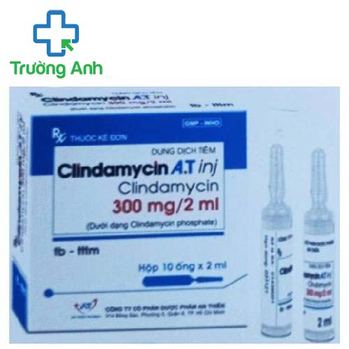 Clindamycin A.T inj 300mg/2ml - Thuốc điều trị nhiễm khuẩn