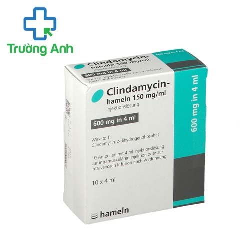 Clindamycin-Hameln 150mg/ml (4ml) - Điều trị bệnh nhiễm trùng