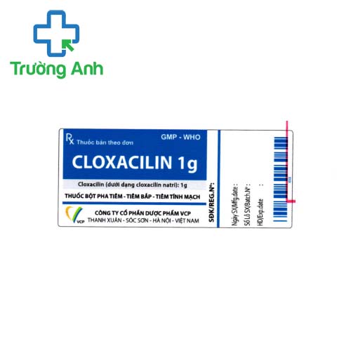Cloxacilin 1g VCP - Điều trị nhiễm khuẩn đường tiết niệu