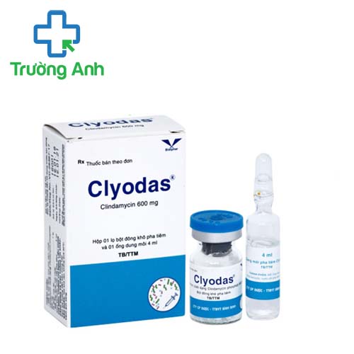 Clyodas 600mg/4ml Bidiphar - Điều trị viêm màng phổi và áp xe phổi