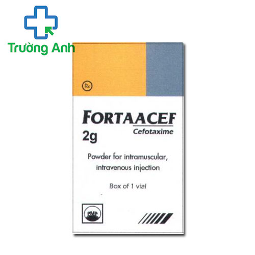 Fortaacef 2g Pymepharco - Thuốc điều trị nhiễm trùng nặng