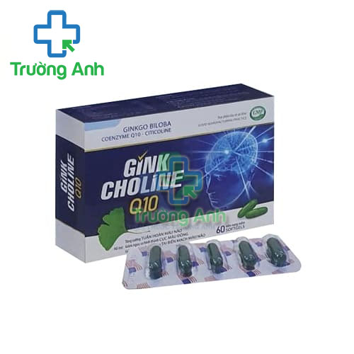 Gink Choline Q09 Foxs - Hỗ trợ hoạt huyết, dưỡng não