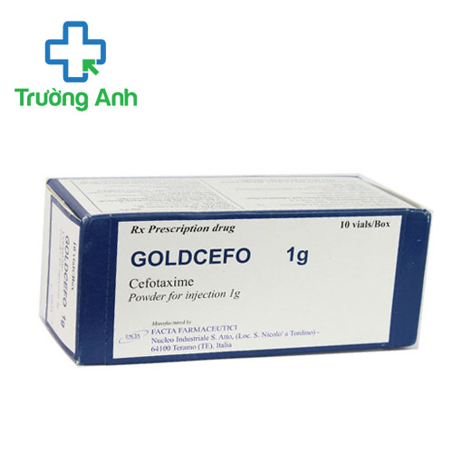 Goldcefo 1g Facta Farmaceutici - Điều trị nhiễm khuẩn đường niệu 