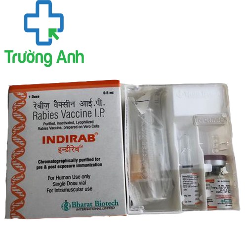 Indirab 0,5ml Bharat Biotech - Dự phòng mắc bệnh dại