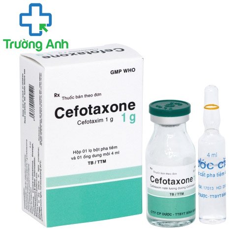 Cefotaxone 1g Bidiphar - Thuốc điều trị nhiễm khuẩn hiệu quả 