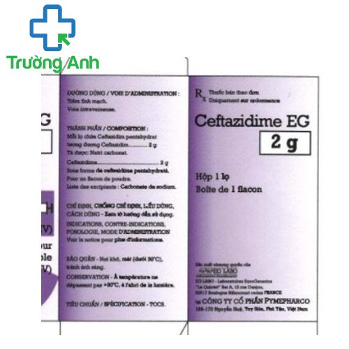 Ceftazidime EG 2g - Thuốc điều trị nhiễm khuẩn hiệu quả