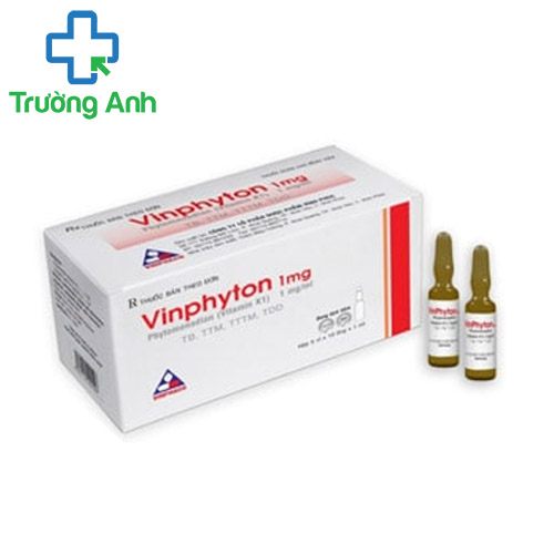 Vinphyton 1mg Vinphaco - Thuốc điều trị xuất huyết hiệu quả