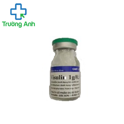Vinsulin 1g/0,5g VCP - Thuốc được dùng trong điều trị nhiễm khuẩn