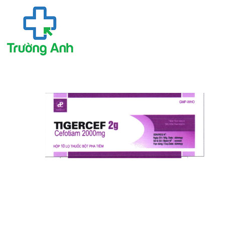 Tigercef 2g Pharbaco - Thuốc điều trị nhiễm trùng máu