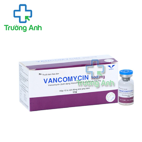 Vancomycin 500mg Bidipha - Điều trị viêm khớp, viêm phổi sinh mủ