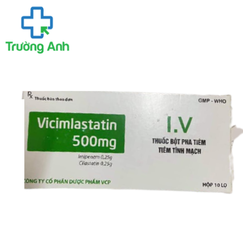 Vicimlastatin 500mg VCP - Điều trị nhiễm khuẩn đường tiết niệu