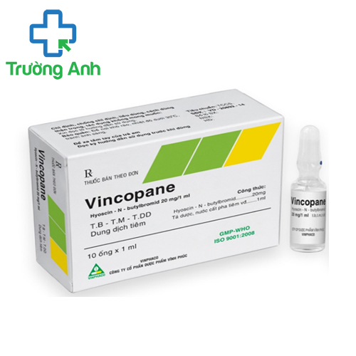 Vincopane 20mg/1ml Vinphaco - Thuốc điều trị co thắt cấp tính