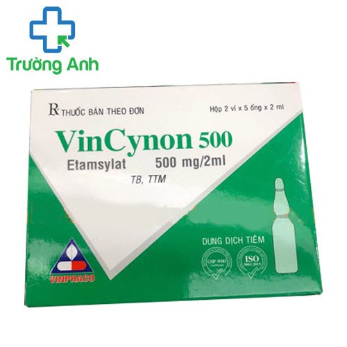 Vincynon 500mg/2ml Vinphaco - Điều trị ngắn hạn mất máu