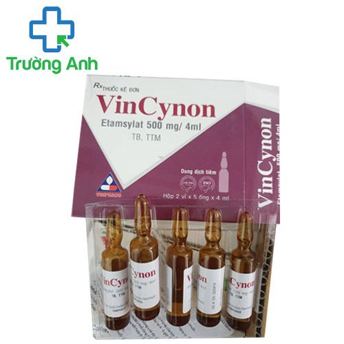Vincynon 500mg/4ml Vinphaco - Thuốc phòng ngừa chảy máu hiệu quả