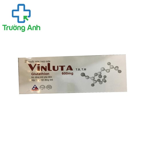 Vinluta 600mg Vinphaco - Thuốc hỗ trợ điều trị ngộ độc thủy ngân