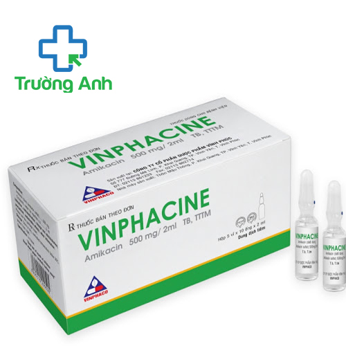 Vinphacine 500mg/2ml Vinphaco - Điều trị nhiễm khuẩn đường hô hấp