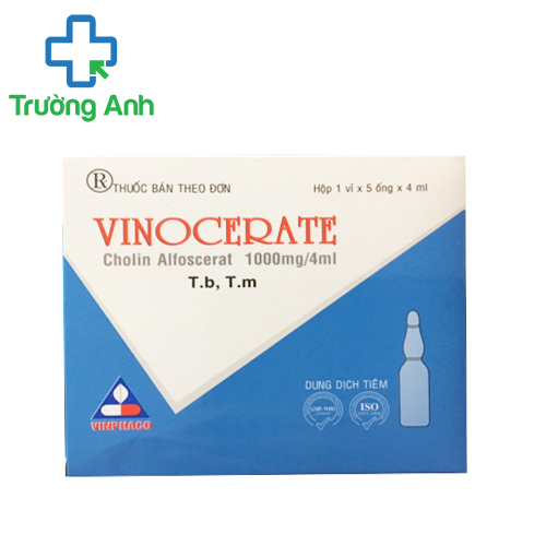 Vinocerate 1000mg/4ml Vinphaco - Điều trị các bệnh mạch máu não