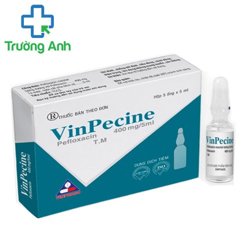 Vinpecine 400mg/5ml Vinphaco - Ðiều trị viêm tuyến tiền liệt