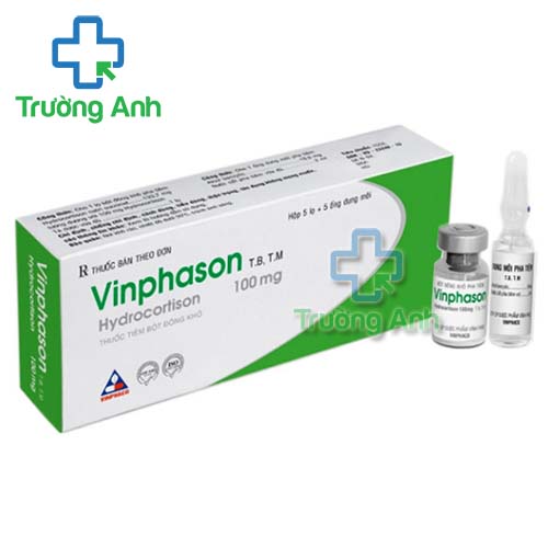 Vinphason 100mg Vinphaco -  Thuốc điều trị viêm xương khớp