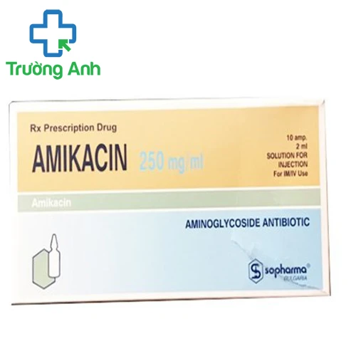 Amikacin 250mg/ml Sopharma - Thuốc điều trị nhiễm khuẩn nặng