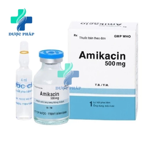 Amikacin 500 Bidiphar - Thuốc điều trị nhiễm khuẩn hiệu quả