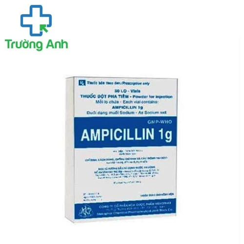 Ampicillin 1g Mekophar - Thuốc điều trị nhiễm trùng hiệu quả