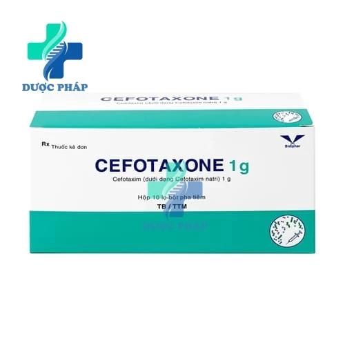 Cefotaxone 1g Bidiphar - Thuốc điều trị nhiễm khuẩn hiệu quả 