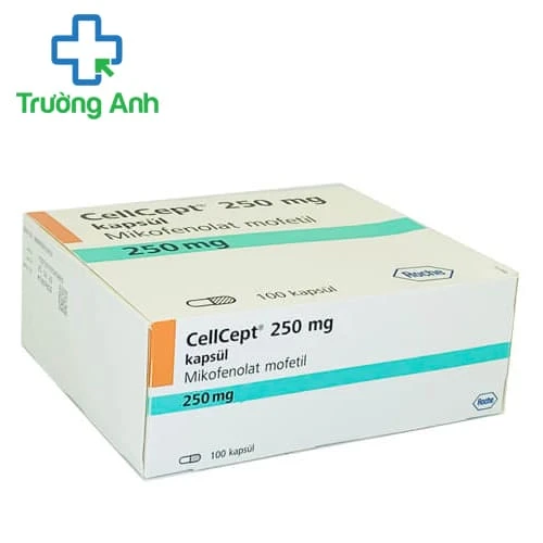 Cellcept 250mg - Thuốc phòng ngừa đào thải khi ghép cơ quan hiệu quả