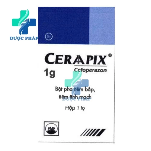 Ceraapix 1g Pymepharco - Thuốc điều trị nhiễm khuẩn hiệu quả