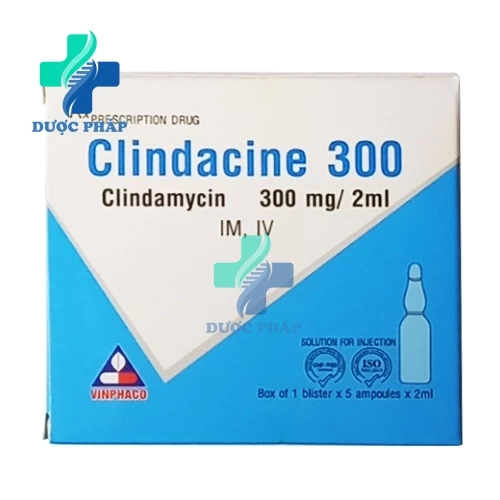 Clindacine 300mg/2ml Vinphaco - Điều trị nhiễm khuẩn hiệu quả