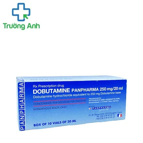 Dobutamine Panpharma 250mg/20ml - Điều trị nhồi máu cơ tim