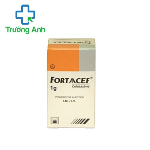 Fortaacef 1g Pymepharco - Điều trị nhiễm khuẩn đường niệu