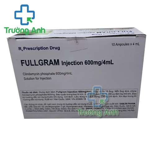 Fullgram Injection 600mg/4ml Samjin - Thuốc điều trị nhiễm khuẩn
