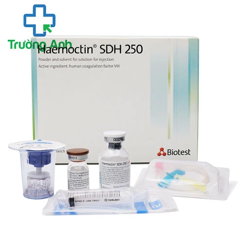 Haemoctin SDH 250 Biotest - Điều trị chảy máu tự phát hiệu quả